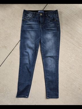 Democracy Dark Wash Skinny Jeans